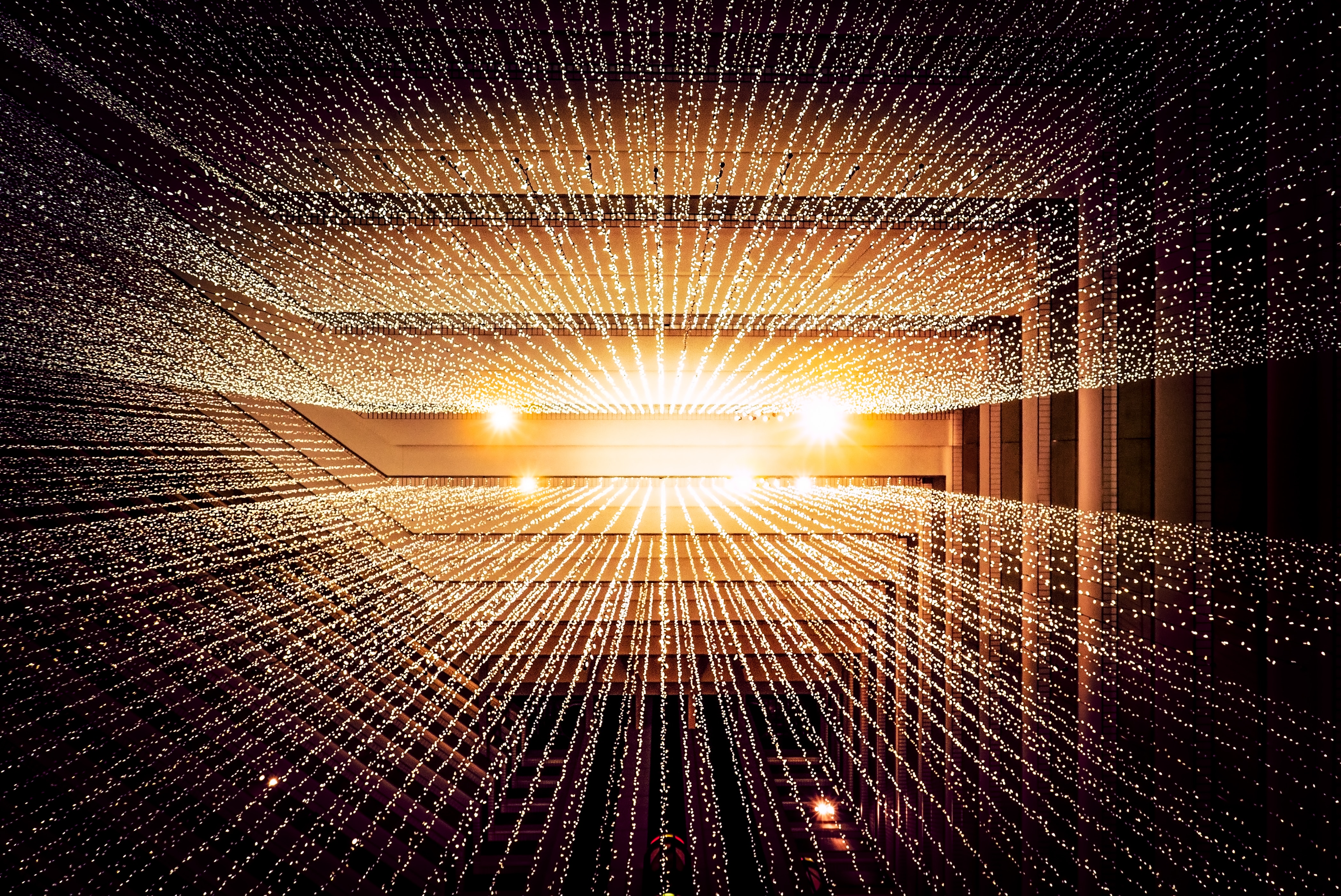 Innovation in Web Design: The Future of Online Experience