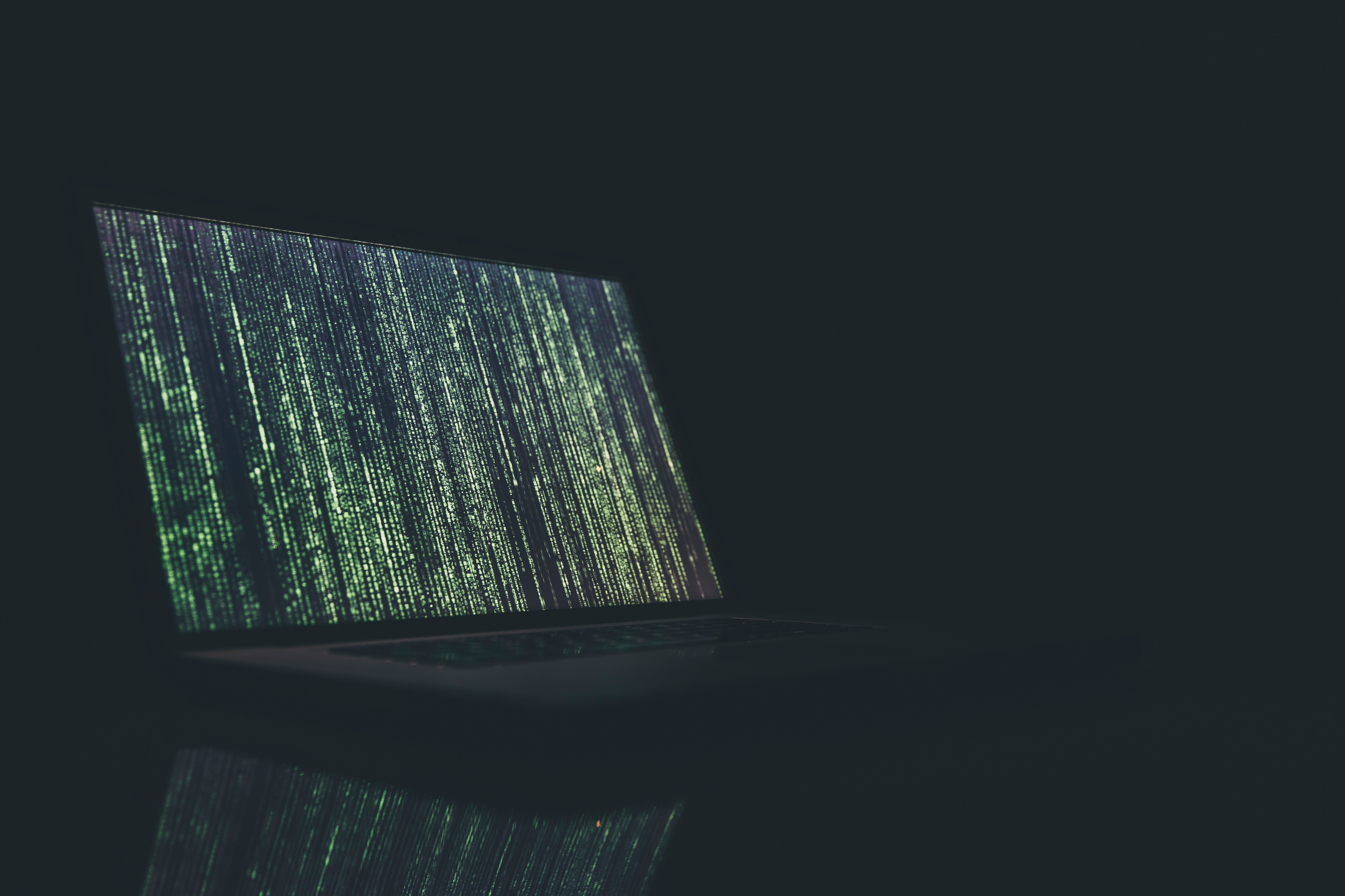 Important!  Web Hosting Security...