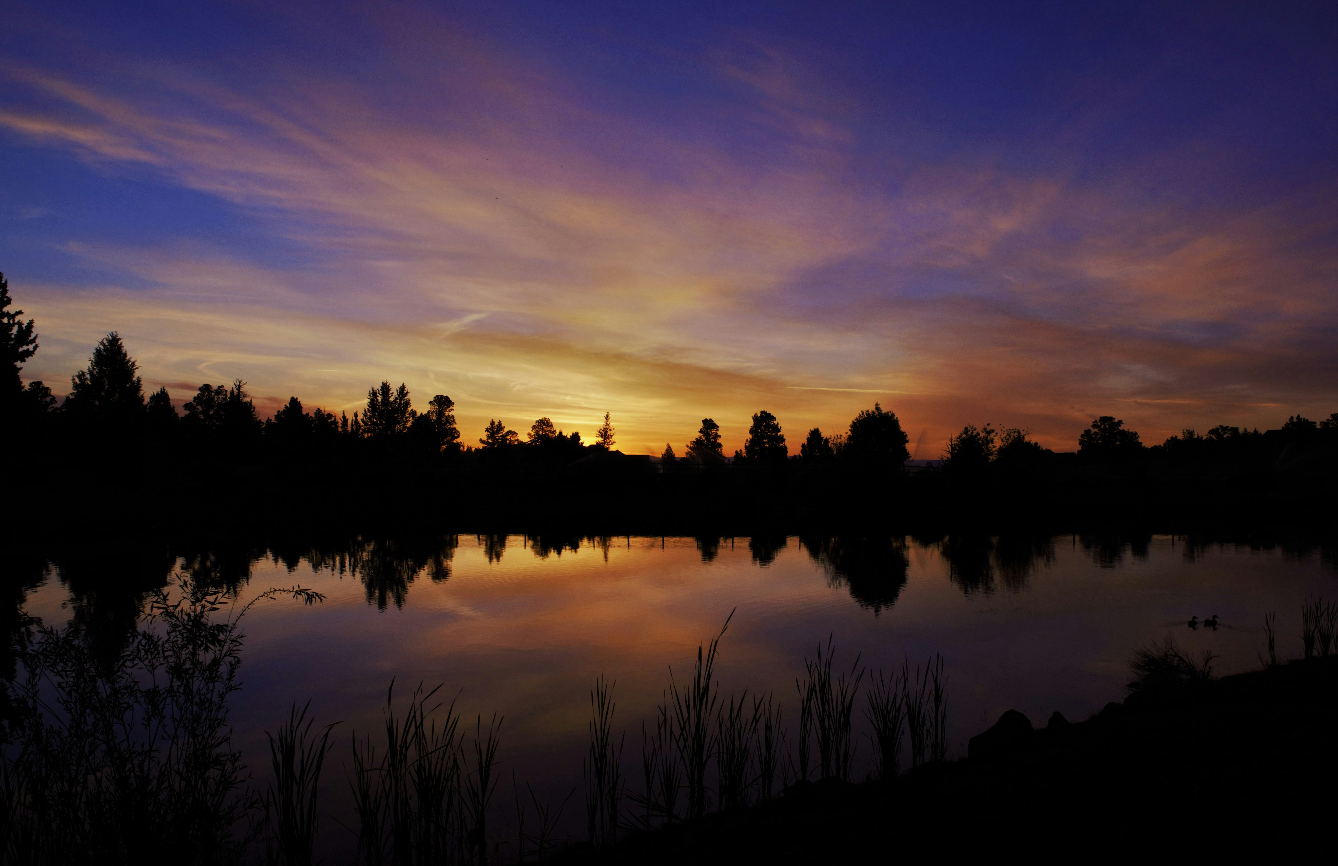 Emerging from the Darkness into a Realm of New Possibilities